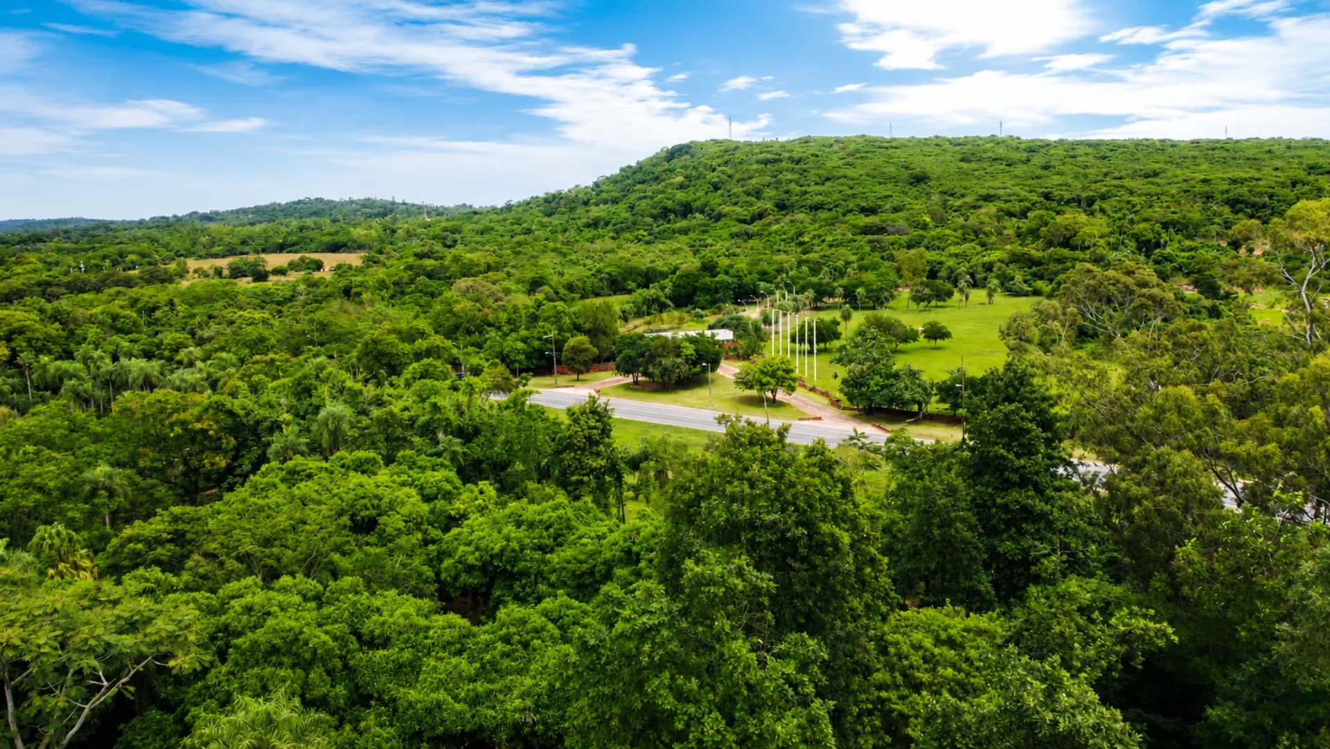 Vista aérea panorámica de la entrada a Parquealto rodeada de bosque