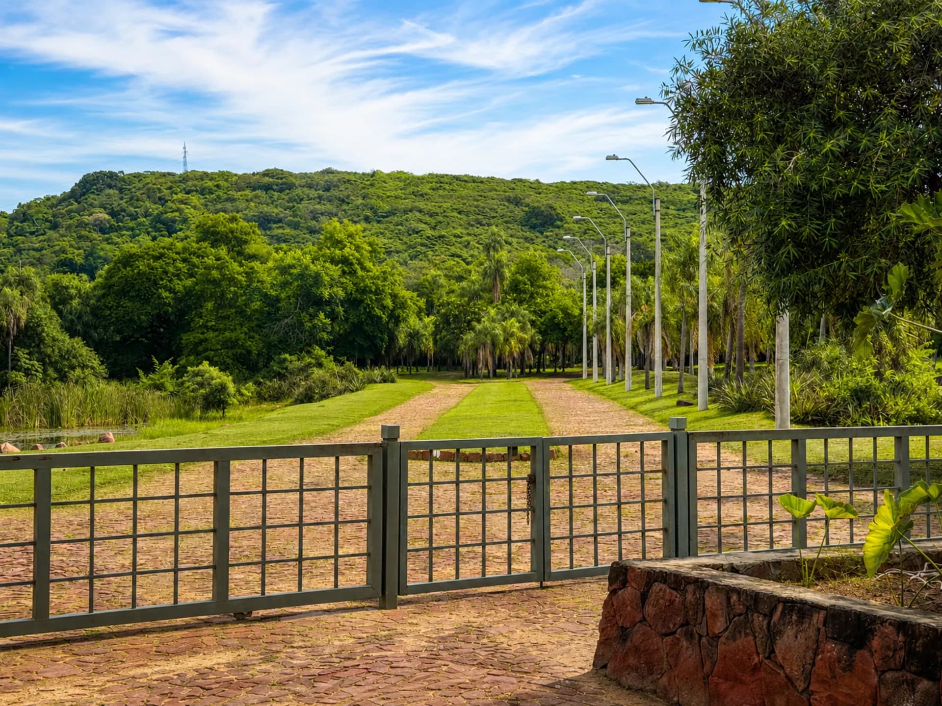 Avenida empedrada con palmeras hacia el portón principal de Parquealto