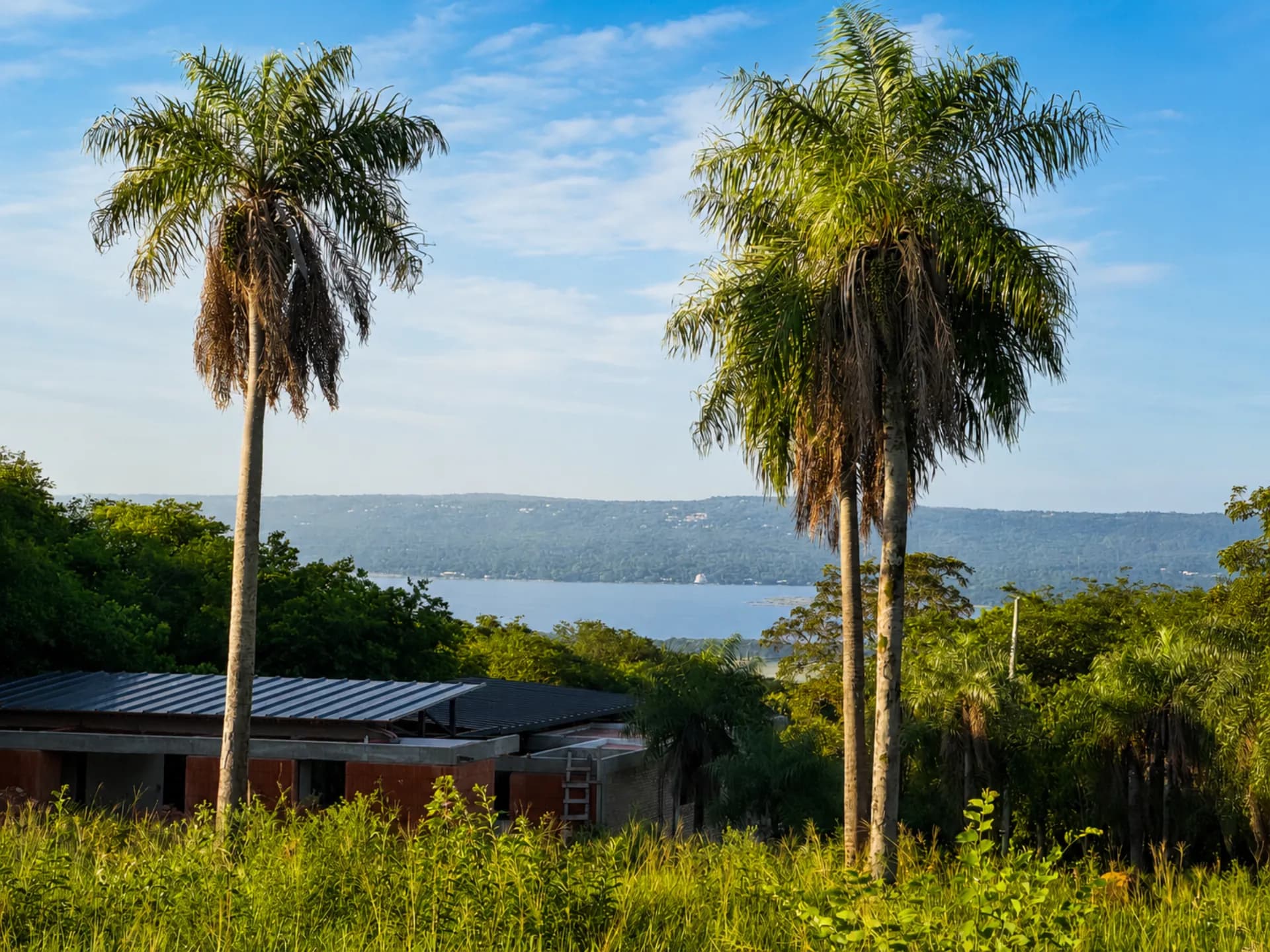 Vista en zoom al Lago Ypacaraí entre dos palmeras