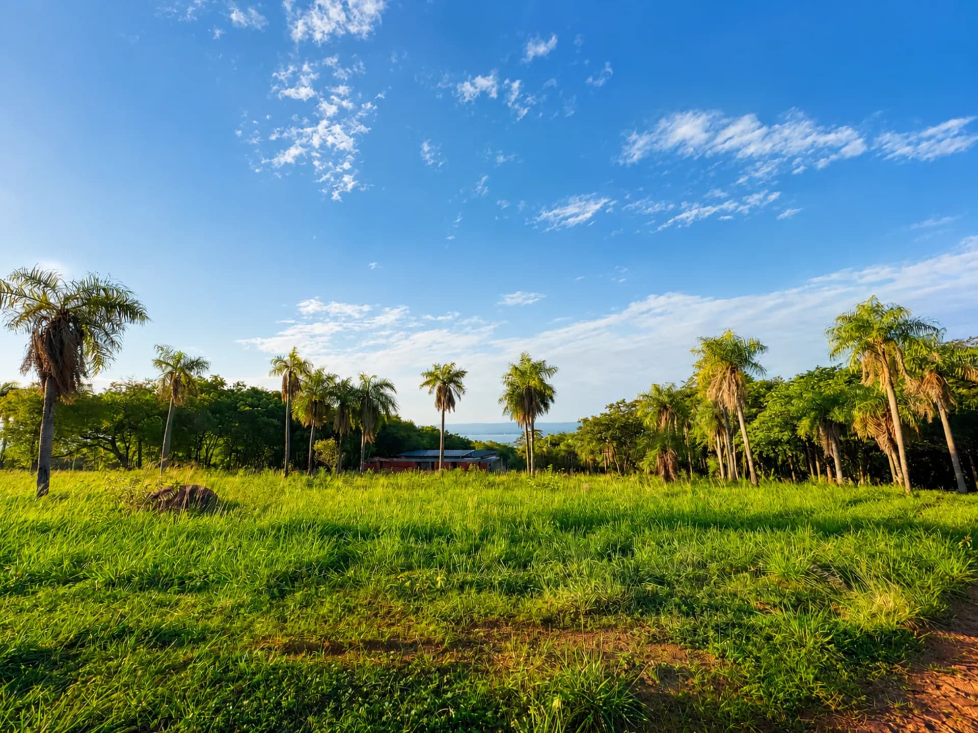 Lote panorámico con palmeras y vista al Lago Ypacaraí en Parquealto